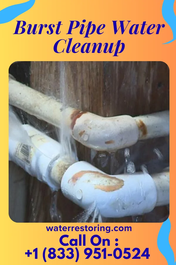 Burst Pipe Water Cleanup in Portsmouth, NH