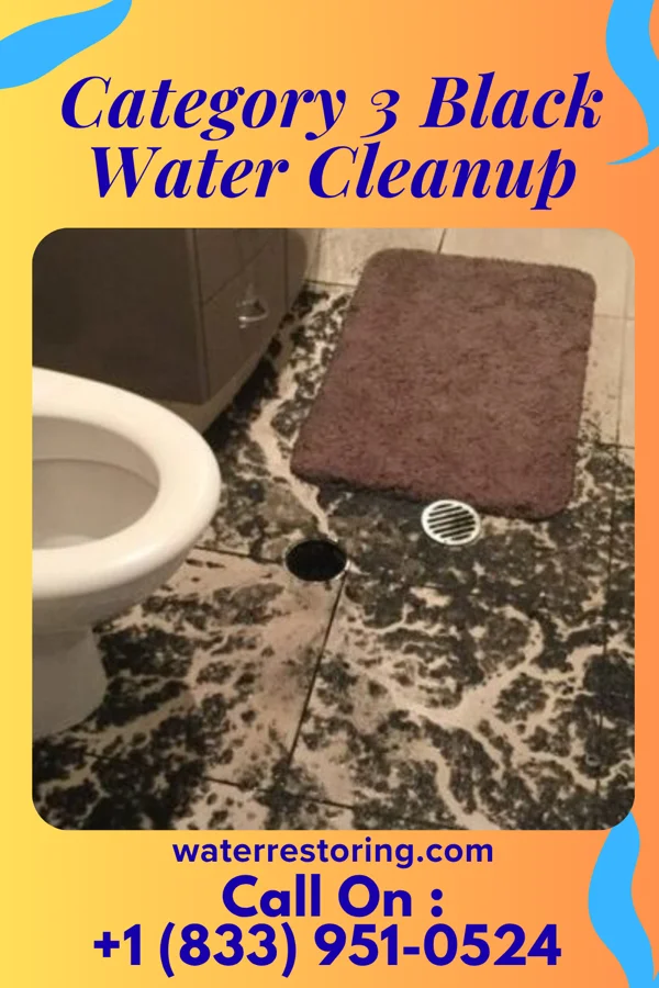 Category 3 Black Water Cleanup in Portsmouth, NH