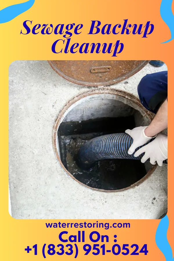 Sewage Backup Cleanup in Portsmouth, NH